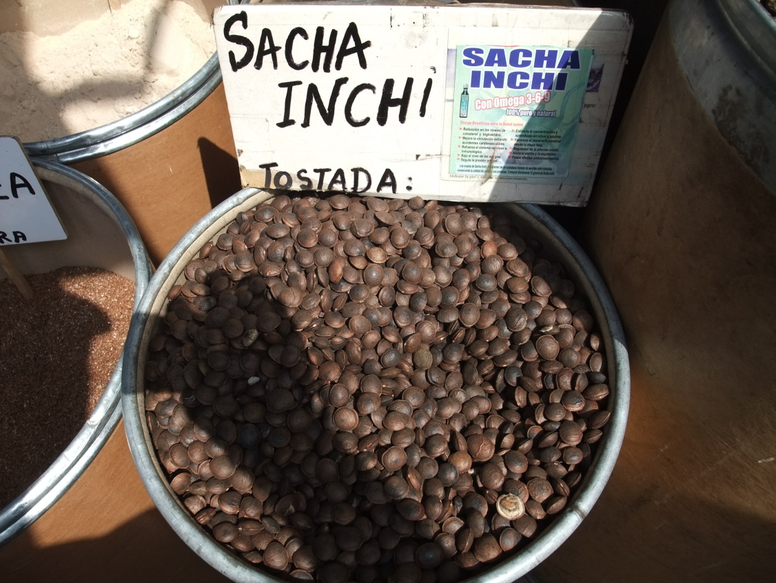 Sancha Inchi fruit